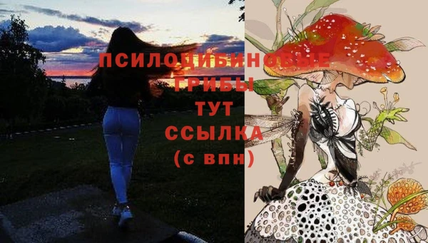 MDMA Елизово