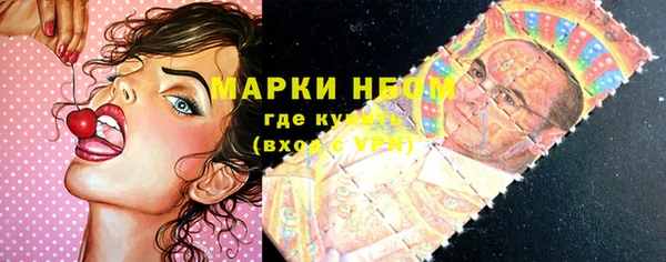 соль ск Кулебаки