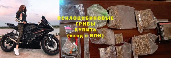 не бодяженный Ладушкин