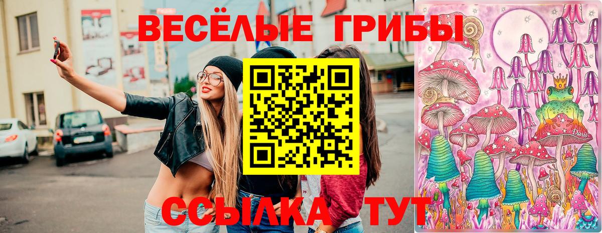 Галлюциногенные грибы MAGIC MUSHROOMS Протвино